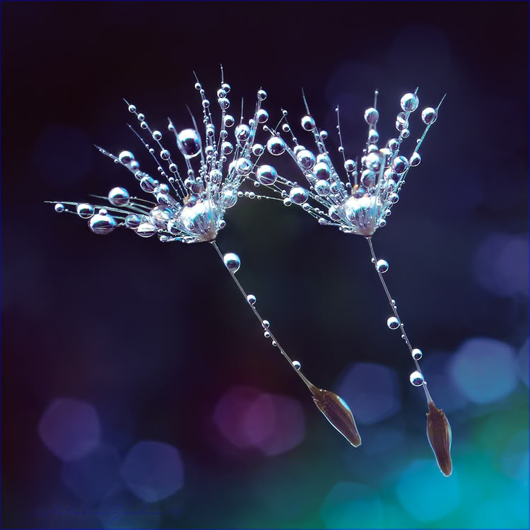 คลิปโป๊ออนไลน์